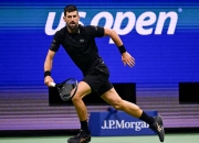 开云在线直播-关于戴维斯杯横扫美网，德约科维奇点燃赛场的信息