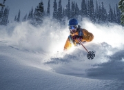 开云体育入口-当大苹果城吞没好莱坞，福克斯的冷血与尼克斯的宿命交响