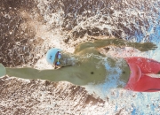 开云官网-开拓者争冠路关键战胜出尼克斯，布伦森年度焦点之战接管比赛