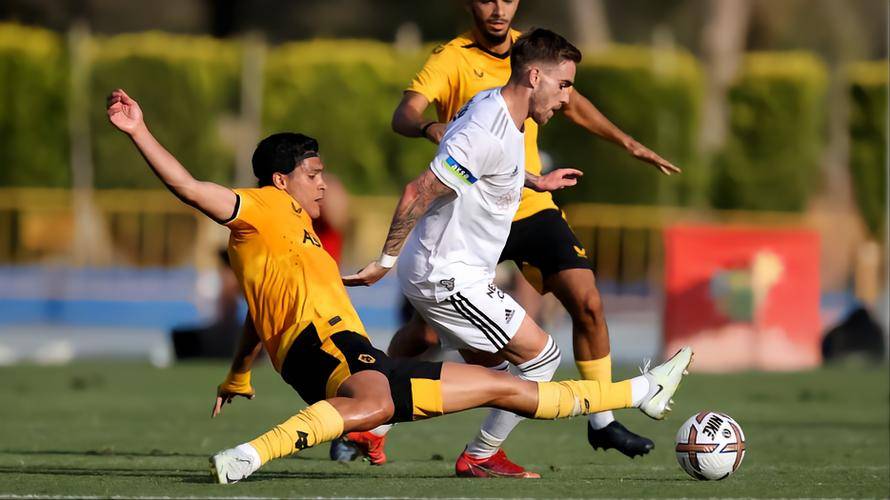 尼斯主场对阵洛里昂,力争主场保持不败的简单介绍 尼斯主场对阵洛里昂,力争主场保持不败的简单介绍