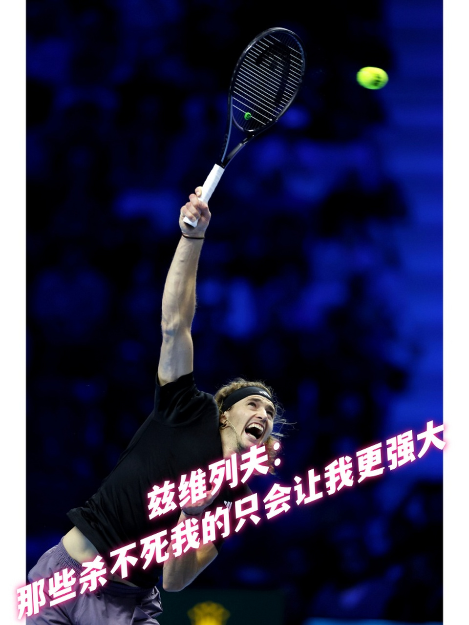 日本网球队逆转法国网球队，兹维列夫统治全场的简单介绍