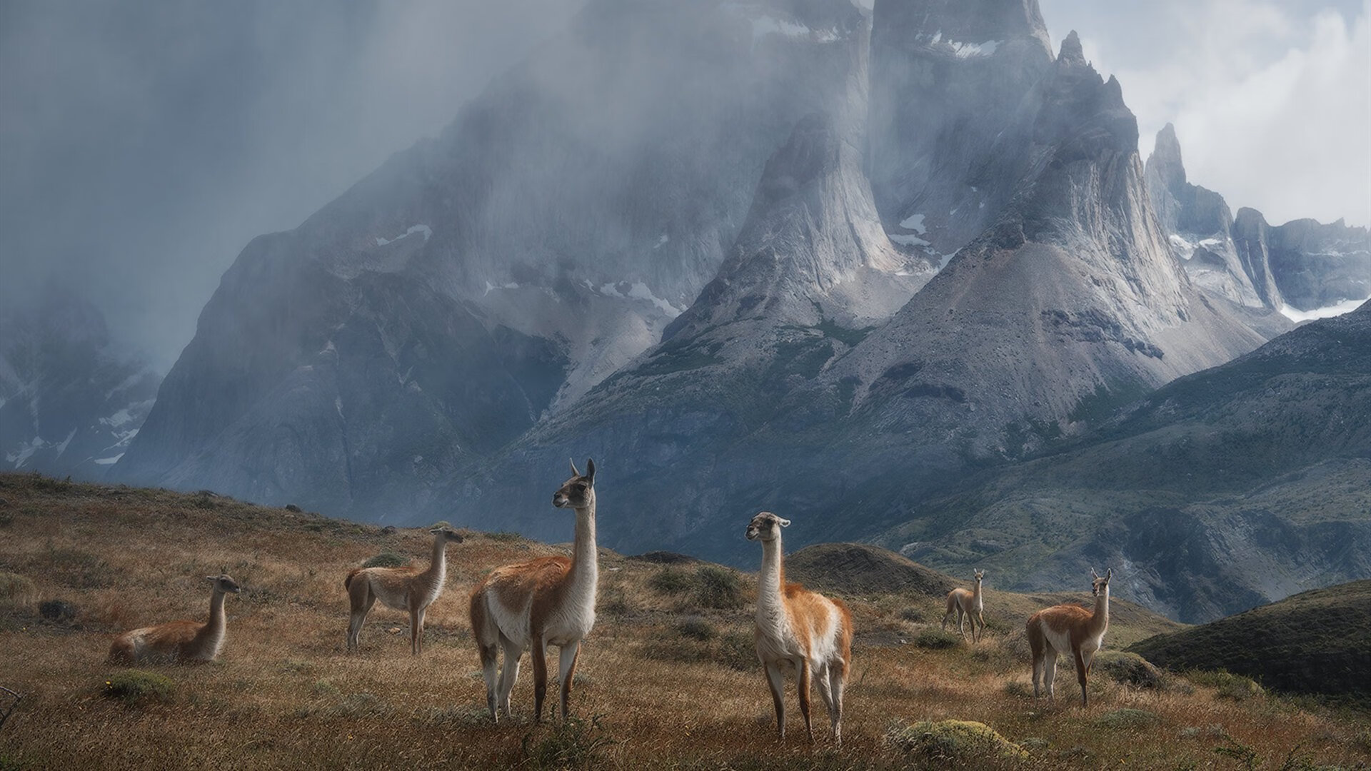 沙漠风暴席卷那不勒斯，哈兰德用实力证明，足球世界没有不可能