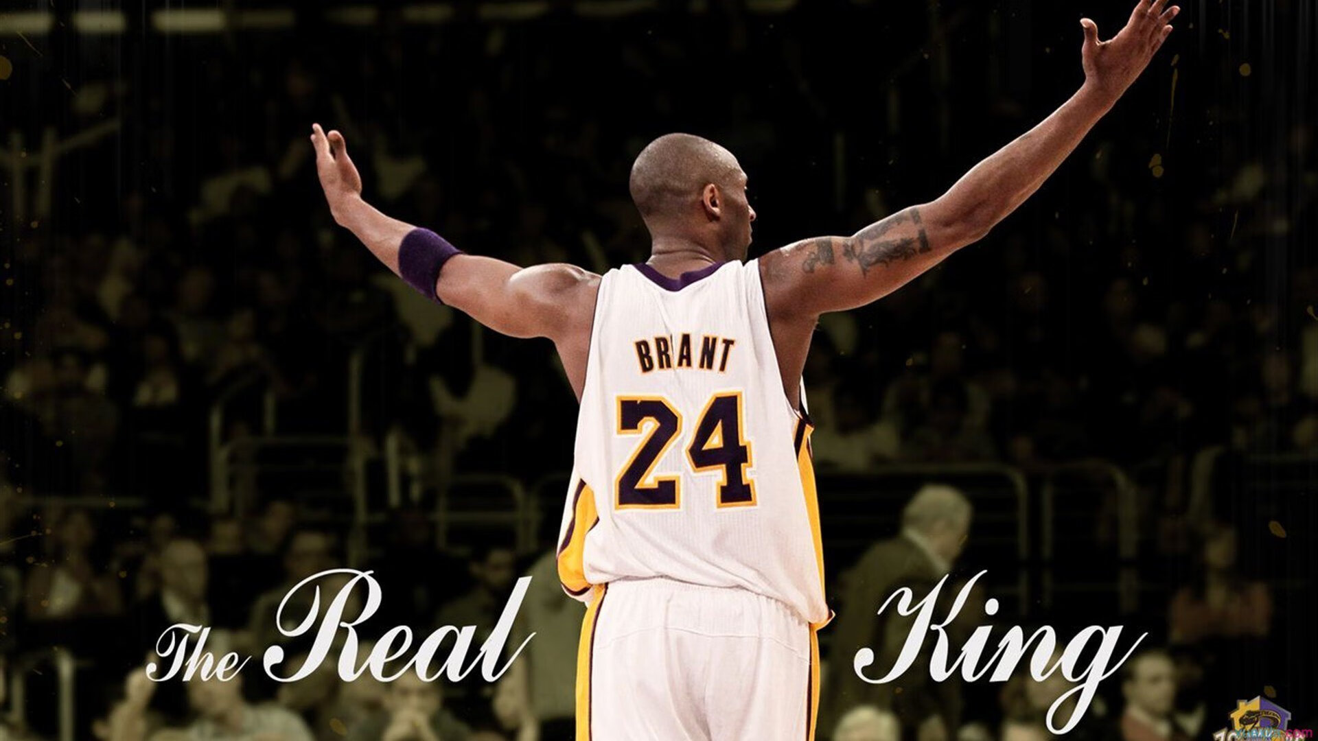 帕尔默的稳定艺术，皇家社会如何以不掉线的节奏击败韩国劲旅